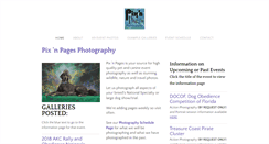 Desktop Screenshot of pixnpages.com